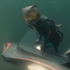 Cats and Dogs: Submersible and Wetsuits
