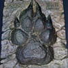 Tippett Studio New Moon Crew Gift