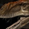 Rajasaurus Head