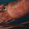 Various Discovery / TLC / National Geographic shows