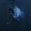 Xiphactinus Key Art 