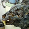 Hellbound Zombie Werewolf 2