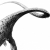 Hyphalosaurus