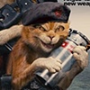 Cats and Dogs: The Revenge of Kitty Galore