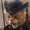 Cats and Dogs: Cat Wetsuit, Helmet Closeup