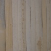 detail of spines