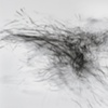 Wind Drawings USA (Outer Cape)