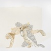 Shelf 5 (wrestlers)