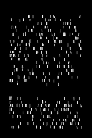 Detail-Skunk's Genetic Code