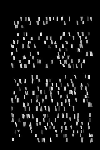 Detail-Squirrel's Genetic Code