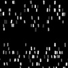 Detail-Skunk's Genetic Code
