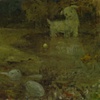 Tippi's Water Garden