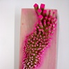 MFA RISD 2010
