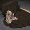 Bed Detail