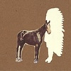 "Indian and Fole"
