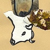 "The Giant Tumor Consumed Her Body And Destroyed The Composition"