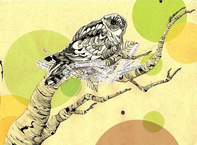 Whippoorwill for WNC Magazine