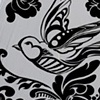 Swallow 