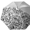 Paisley Umbrella