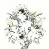 Spinster Tree