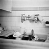 Dishes