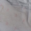 Pillow No. 10
