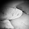 Untitled (Sheets no. 4)