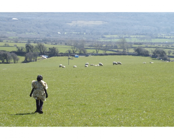 Sheep's Clothing