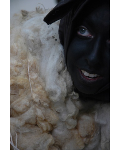 Sheep's Clothing