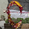 Fence Decoration