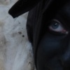Sheep's Clothing