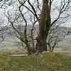 A Faerie Ring in Ballyvaughan.