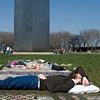 Collective Nap