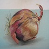 Onion