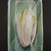 Packaged Endive