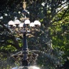 Central Park