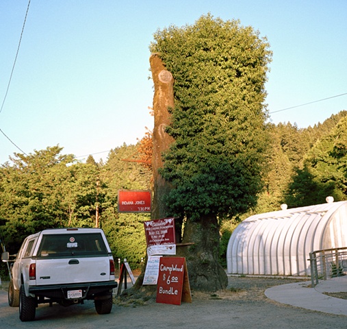 Del Rio Tree