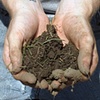 All I Can Give To You (A Handful Of Dirt)
(detail)