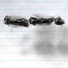 Name Written 8,783 Times (In The Same Space)