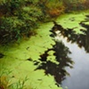 Lush Embankment