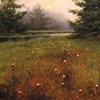 Low Land Meadow