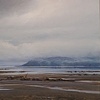 Receding Tides