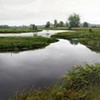 Mc Neil Road Side Channel