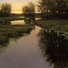 Evening Back Water