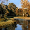 Cerulean Pool - Sulina Park Headwaters
 