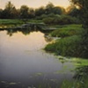 Kanaka Creek Dusk Study