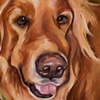 BO