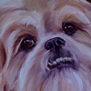 WILSON