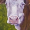 WATCHFUL ONE