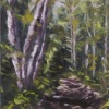 PATHWAY #1